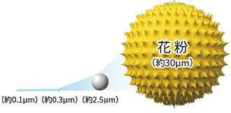 業務用空気清浄機の花粉の大きさイメージ画像